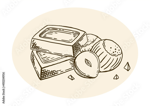 Slices of chocolate with hazelnuts. Hand drawn food sketch. Vintage style. Vector illustration isolated on color background.