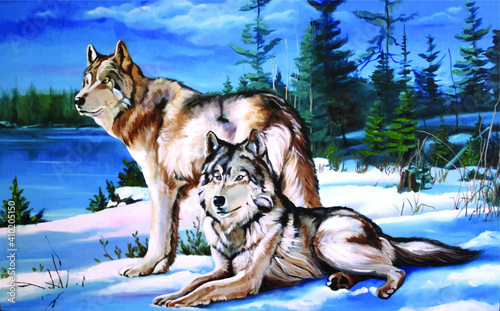 wolves on the snow