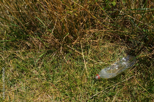Fototapeta Naklejka Na Ścianę i Meble -  bottle of water in the grass