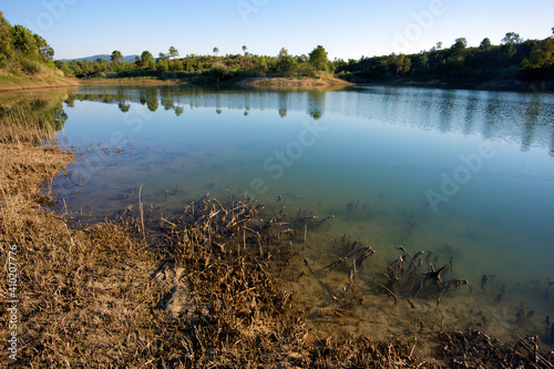 Alzitone lake in the eastern plain of Corsica photo