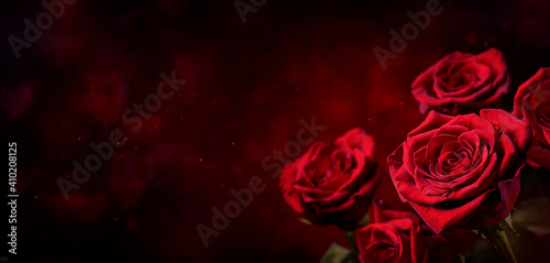 Dark red roses background. Luminous hearth shaped bokeh in the background. Valentine day or wedding concept. Symbol of the love. Copy space or empty space for text and design