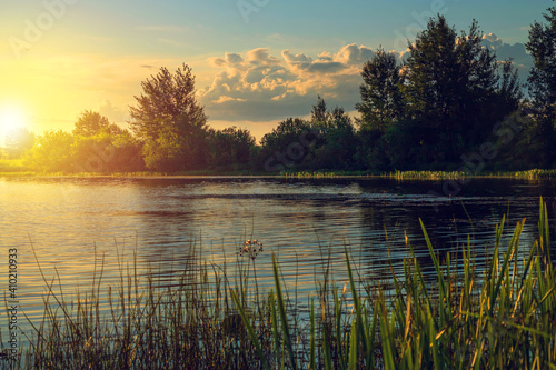 Fototapeta Naklejka Na Ścianę i Meble -  Golden summer sunset on the lake with grass silhouette .