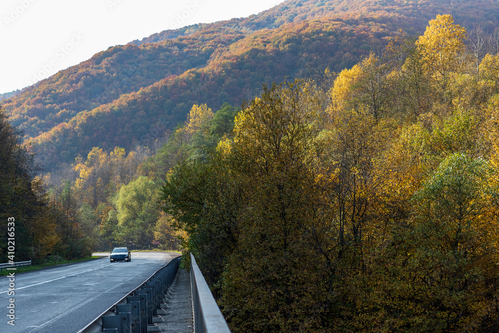 Obraz premium Autumn mountain landscape - yellowed and reddened autumn trees combined with green needles on the side of a small road. Colorful autumn landscape scene in the Ukrainian Carpathians.