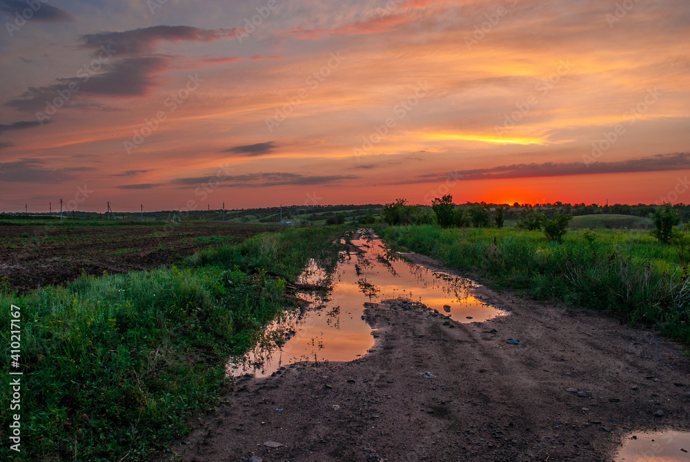 Summer sunset in the field.