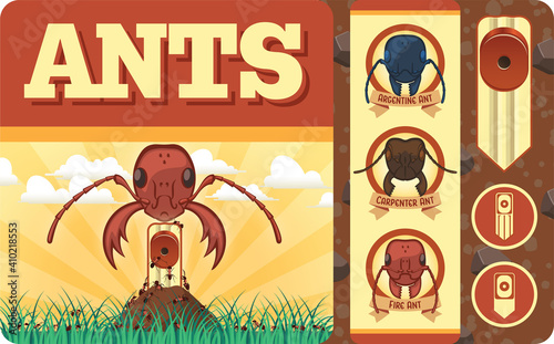 Ants and Bait Traps