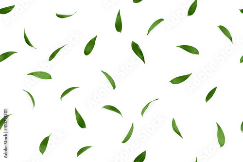 Flowers composition. Pattern made of green leafs, isolated flat lay, top view, seamless pattern