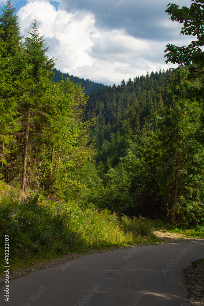 Asphalt road in the Carpathian mountains in summer.