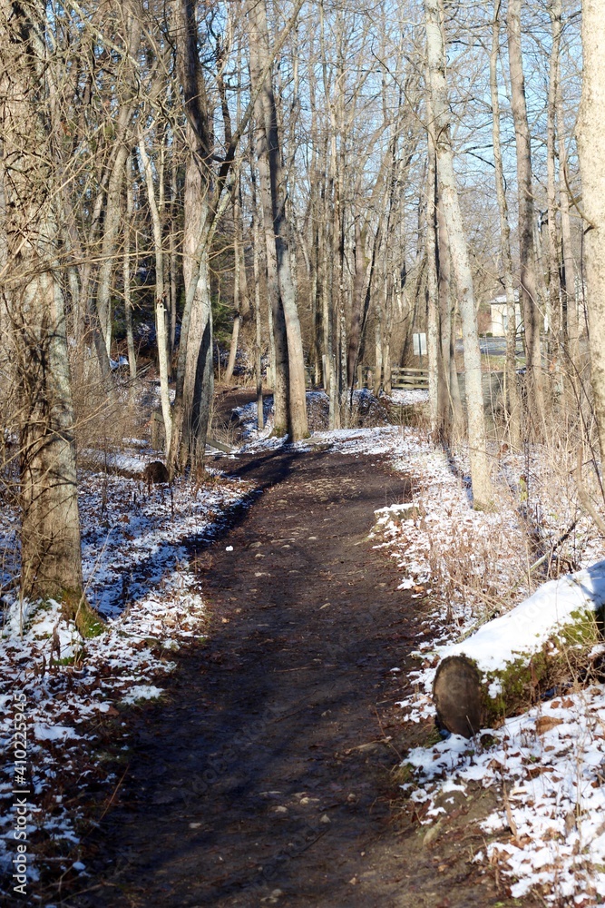 The empty snowy trail in the winter forest. The empty snowy trail in the winter forest.
