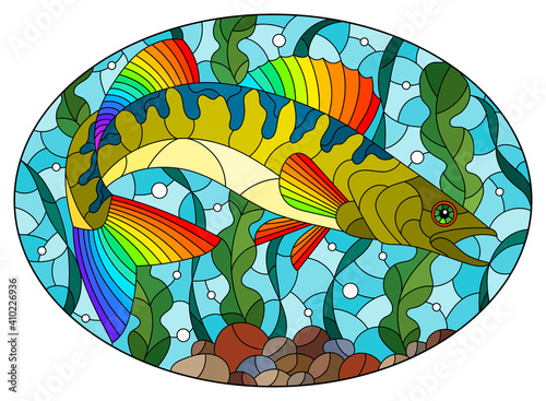 Illustration in stained glass style with an abstract pike perch fish on a background of algae, air bubbles and water, oval image