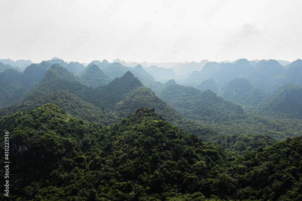 Fototapeta premium Forêt tropical