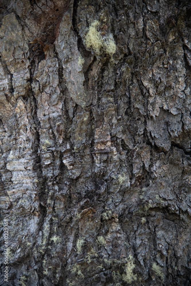 Texture Texture