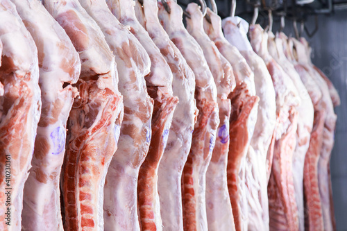Raw porks meat hanging in a refrigerator of meat factory.