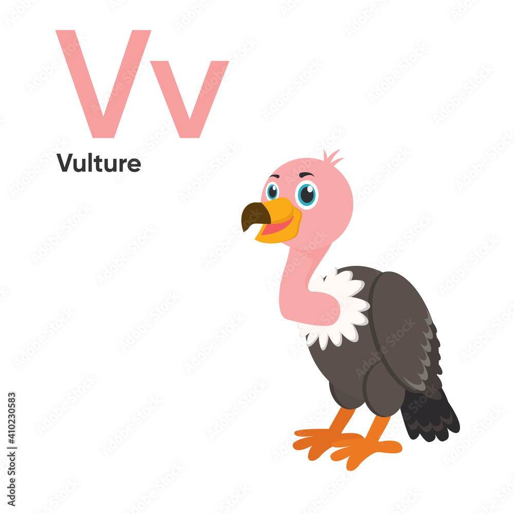 Obraz premium Cute Animal Alphabet Series A-Z. Vector ABC. Letter Vv. Vulture. Cartoon animals alphabet for kids. Isolated vector icons illustration. Education, baby showerchildren prints, decor, cards, books