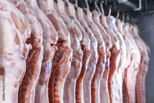 Raw porks meat hanging in a refrigerator of meat factory.