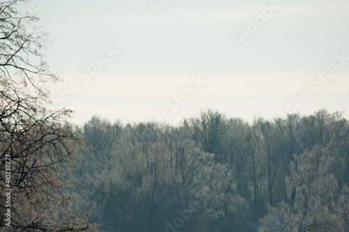 Trees covered with frost on a frosty morning, Moscow region.