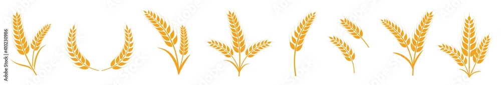 wheat ears icon set, bakery vector illustration
