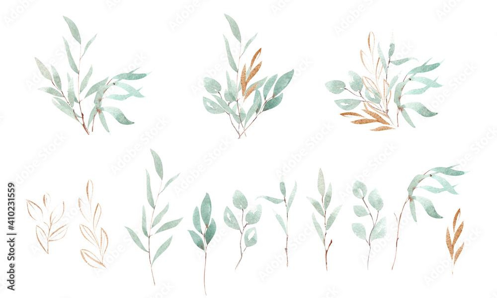 Fototapeta eucalyptus set. Watercolor hand painted bouquets and branches isolated on white background. Suitable for the design of invitations, greeting cards, social media posts.