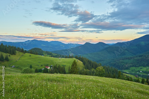 Idyllic landscape in the Alps with fresh green meadows and blooming flowers