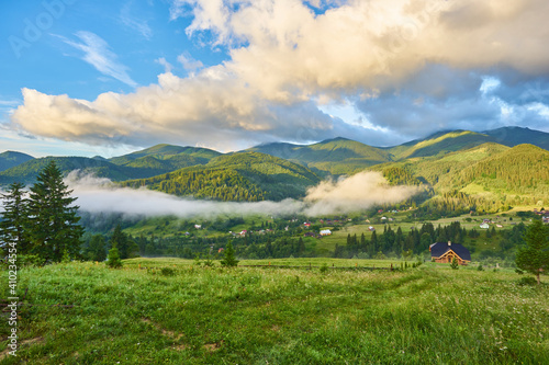 gorgeous foggy sunrise in Carpathian mountains. lovely summer landscape of Volovets district. purple flowers on grassy meadows and forested hill in fog. photo