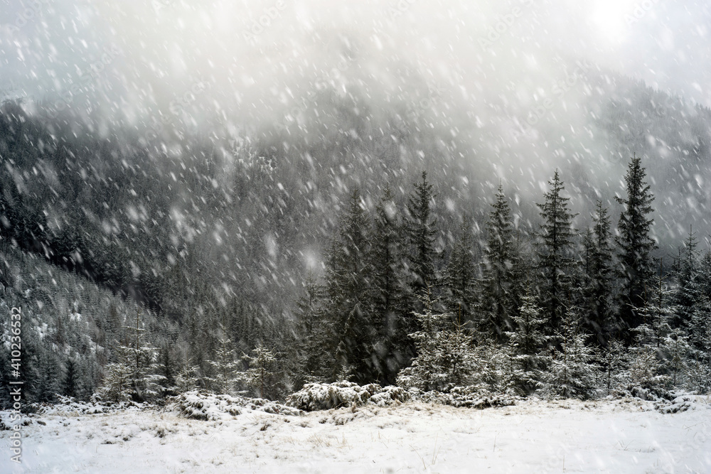 The first snow fell in the Carpathians. The first snow fell in the Carpathians.