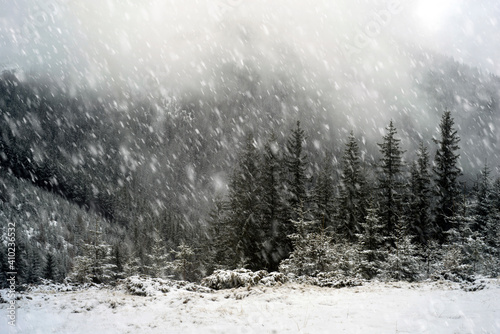 The first snow fell in the Carpathians. © panaramka