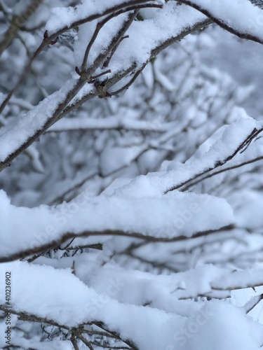 Winter incoming! © Nils
