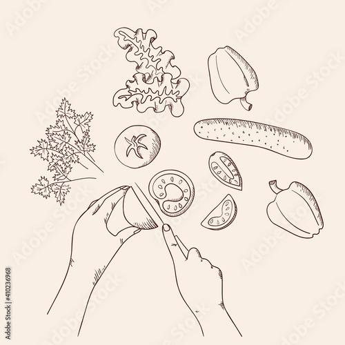 Fresh vegetable salad in sketch line style. Concept cooking organic healthy vegan, vegetarian, dietary, vitamin dish with farm products. Tomato, cucumber, bell pepper. Isolated vector illustration