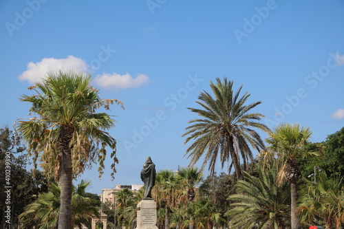 Palmtrees at The Mall in Floriana Valletta  Malta