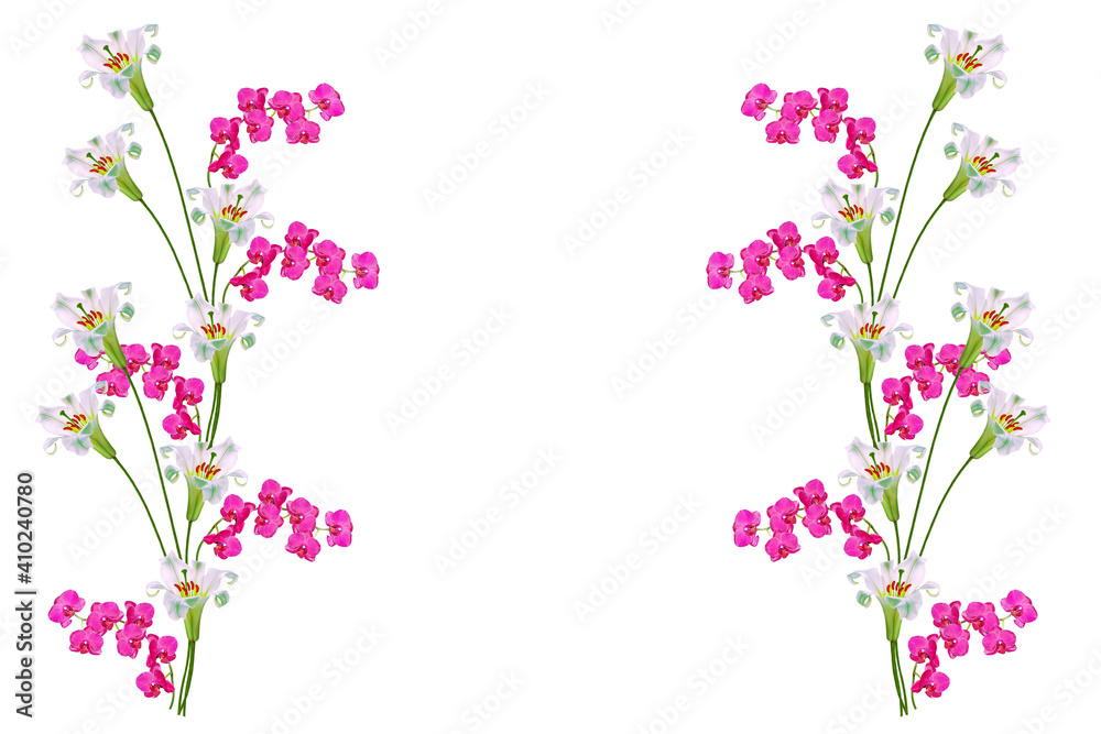 Pink orchid. Bright lily flowers isolated on white background.