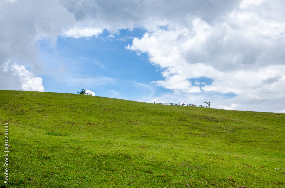 person in the field