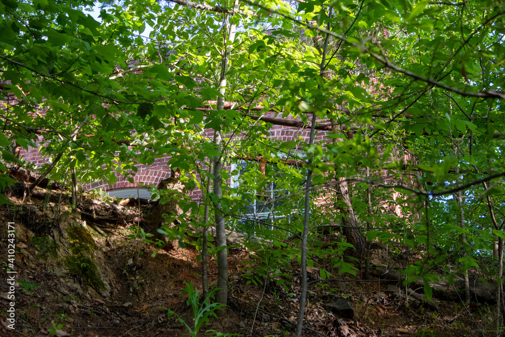 abandoned building in the woods abandoned building in the woods
