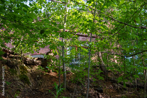 abandoned building in the woods