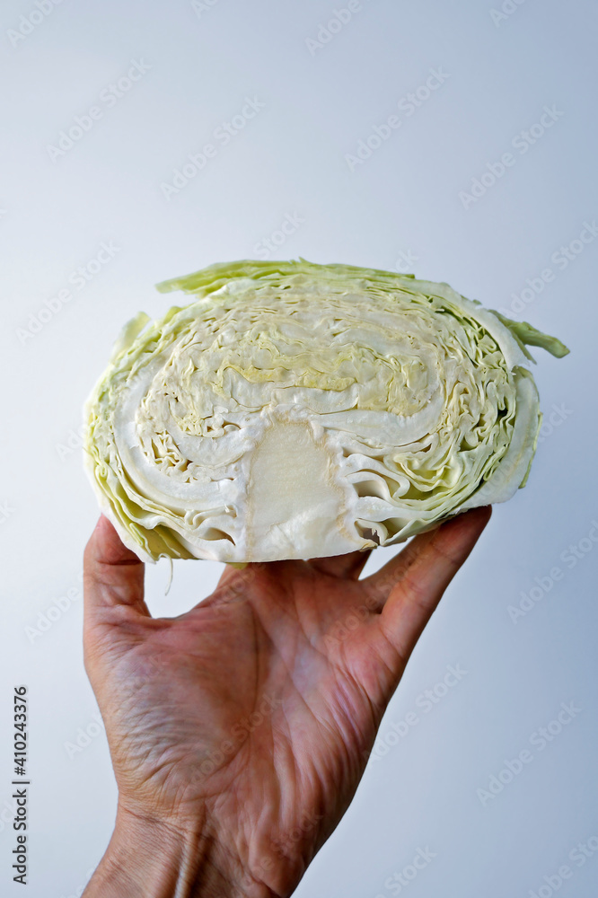 Obraz premium Half a cabbage on hand in a bright background