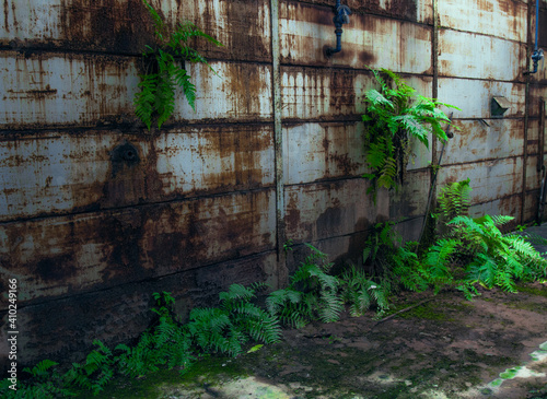 alte porzellanfabrik verlorener ort  photo