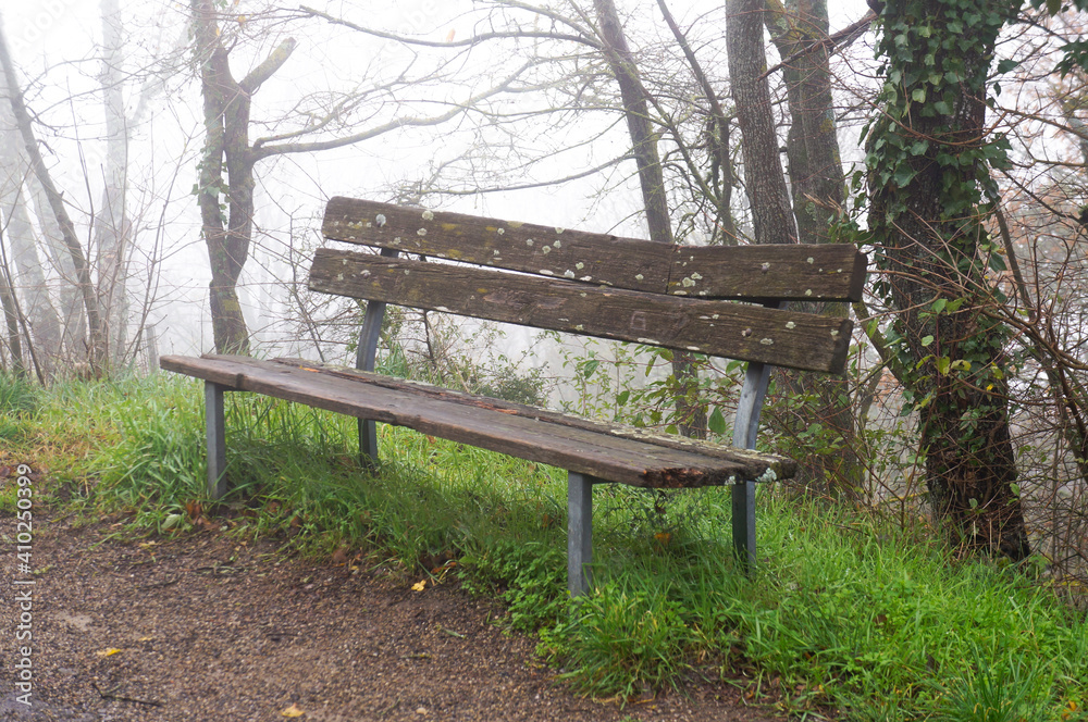 a lonely bench standing in a forest surrounded by fog a lonely bench standing in a forest surrounded by fog