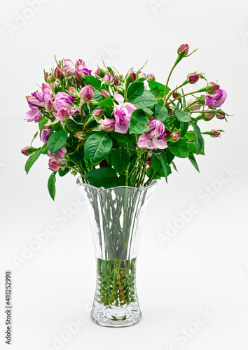beautiful flower vase with rose flower and green leaves © ajesh