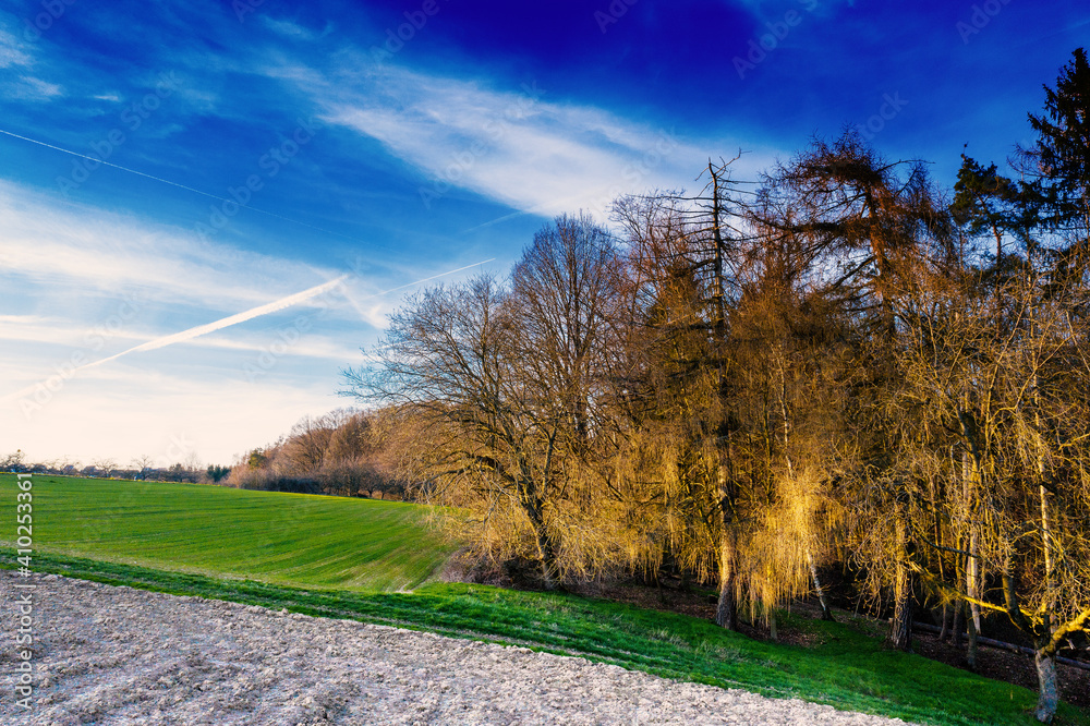 Obraz premium Frühling