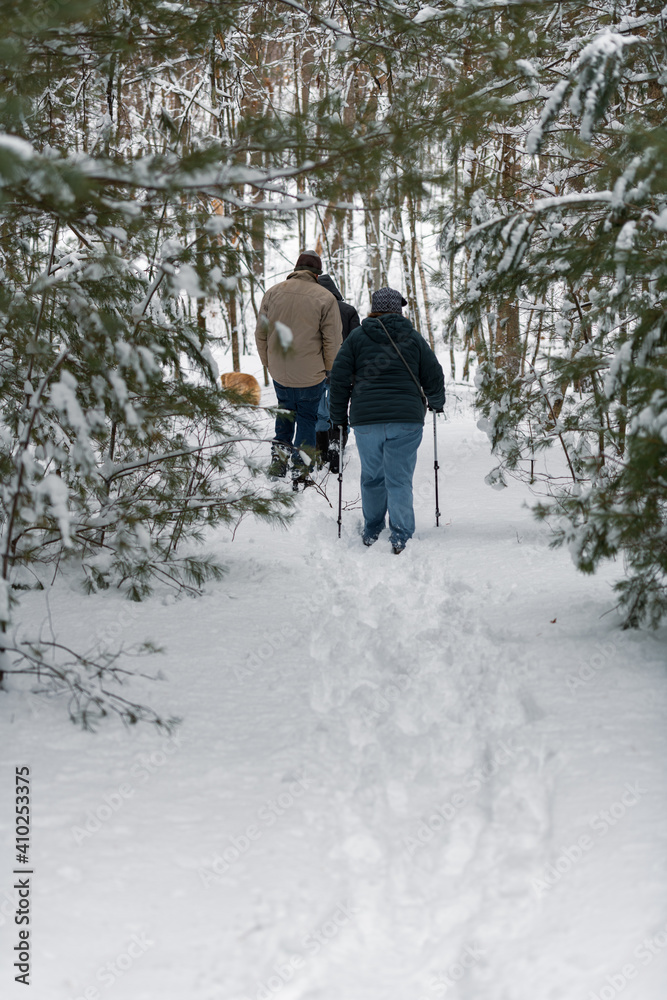 A group of adults hiking through a snow covered path in the middle of the forest.