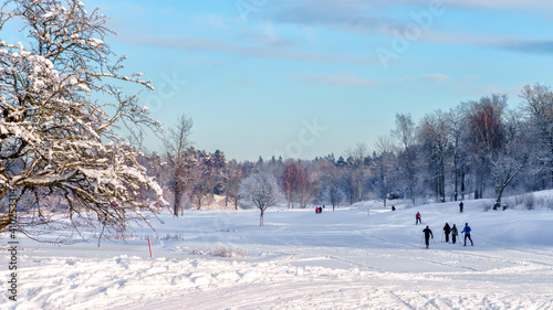 Photography Skiers on a golf course on a sunny winter day in Stockholm, Sweden