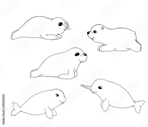 Fotografie Animals of the Arctic