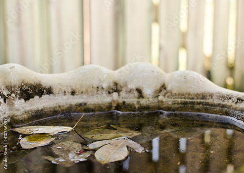 фотографія An unused birdbath with leaves floating on the water surface