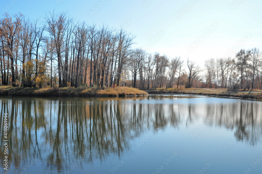 Leaves make bare the forest of the city park but still creates wonderful reflection on clear pond Leaves make bare the forest of the city park but still creates wonderful reflection on clear pond