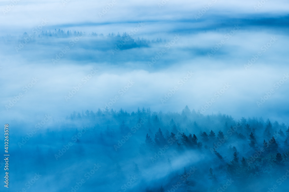 View over endless forest covered by fog in the twilight of dawn