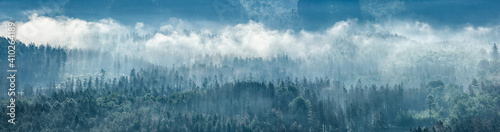 Fotografie Panorama of endless forest with fog