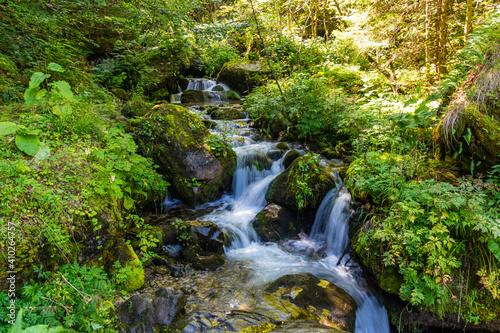 waterfall in the forest