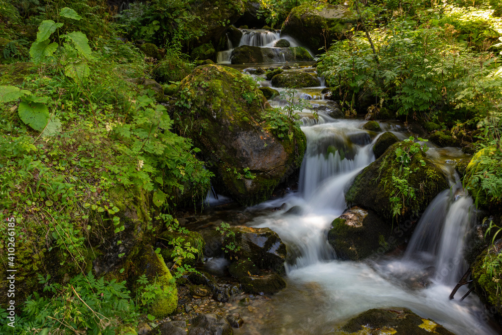 waterfall in the forest