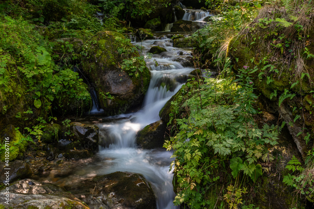 waterfall in the forest