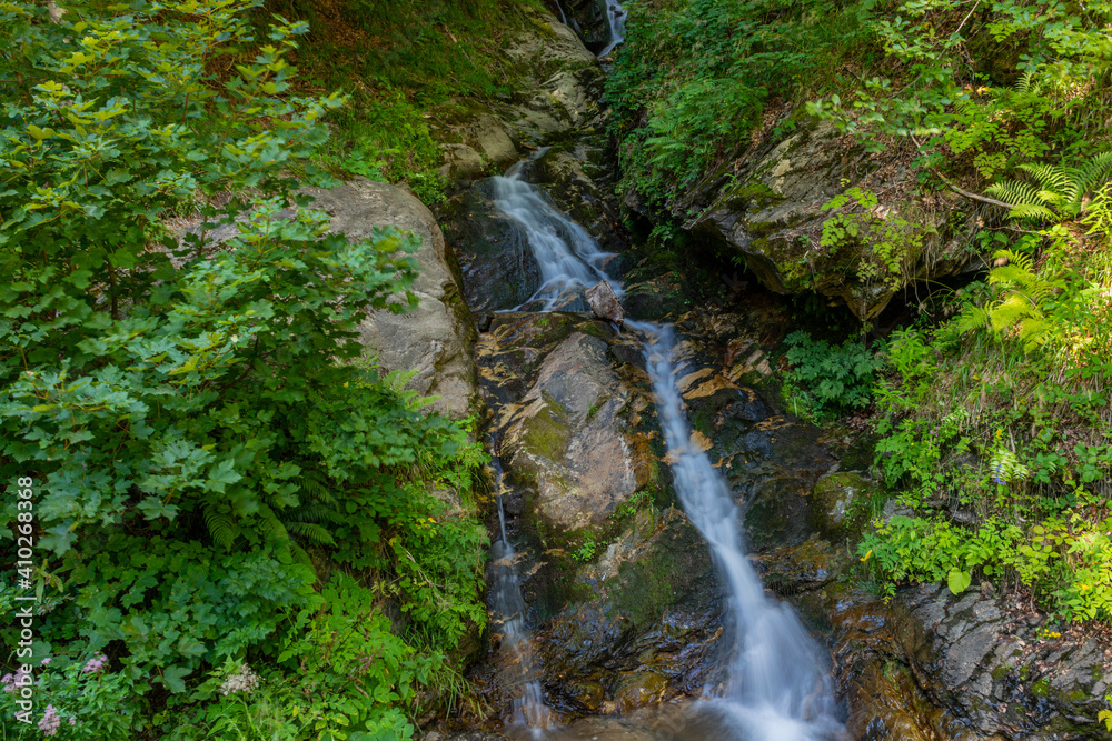 waterfall in the forest