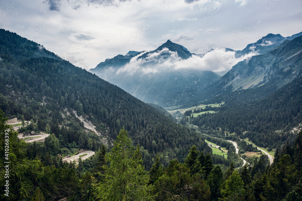 Scenic view of green forested Maloja Pass