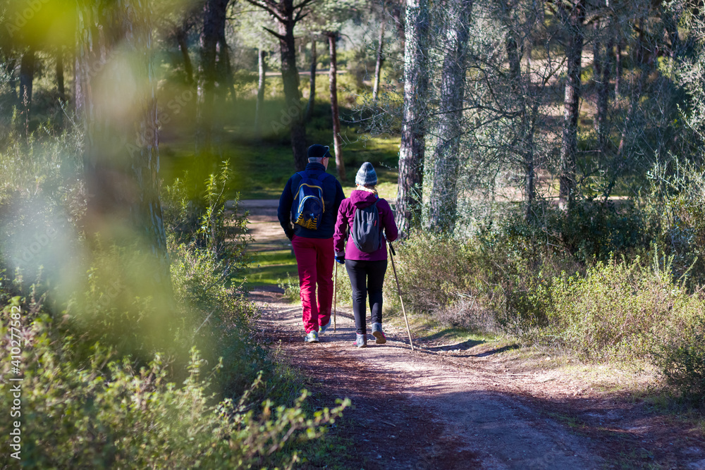 Obraz premium A mature couple walking along a country path. Doing sport using trekking poles.